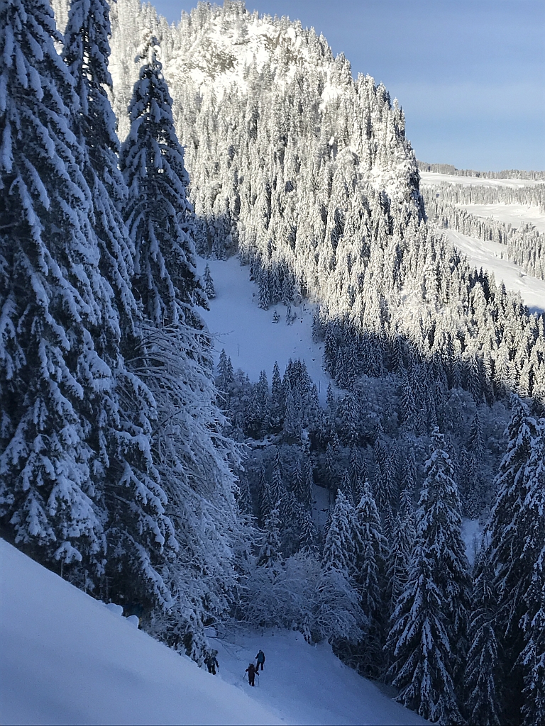 02_16. Jan 21_SAC Schneeschuhtour Schwarzsee (118).jpg